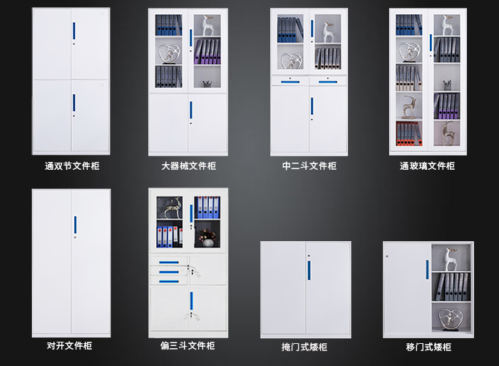 海發(fā)HF-GGLS系列文件柜，鋼制文件柜，辦公文件柜